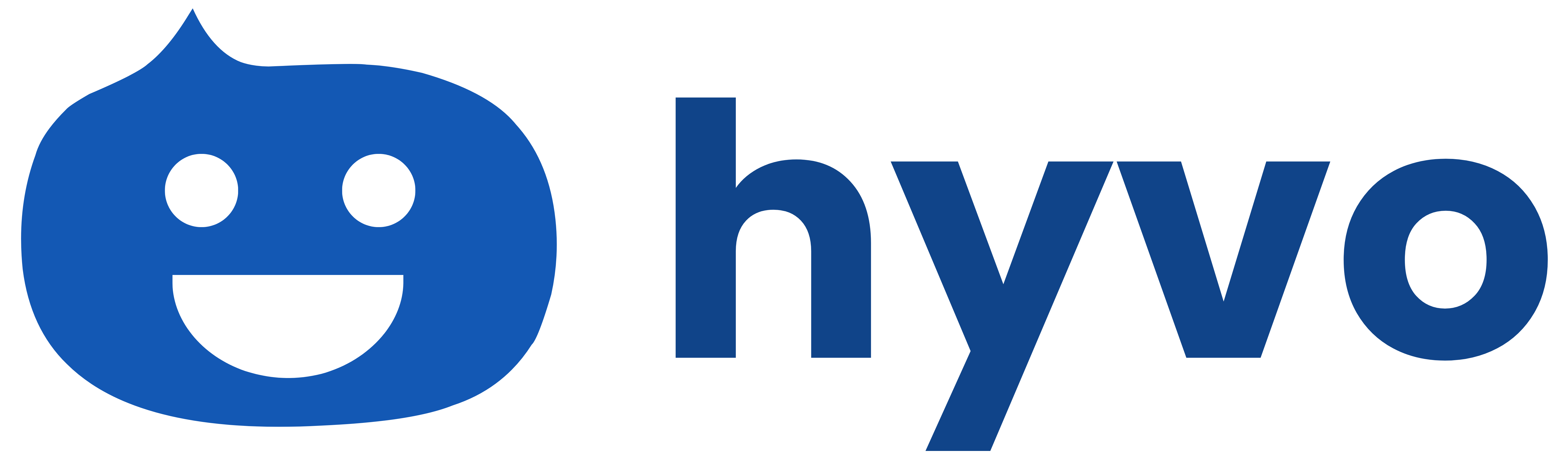 Hyvo Inc.